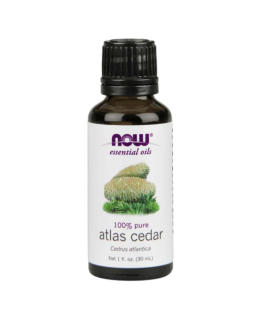 NOW Essential Oil, Atlas Cedar oil (éterický olej Cedr), 30 ml
