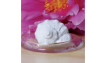 Absorbéry a aroma flakony