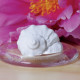 Absorbéry a aroma flakony