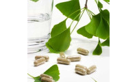 Ginkgo Biloba