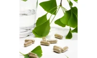 Ginkgo Biloba