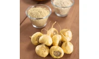 Maca