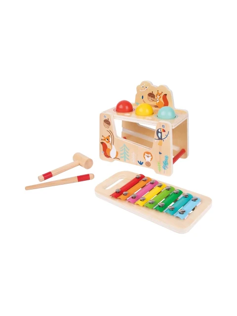 TookyToy Dřevěná zatloukací hra s xylofonem