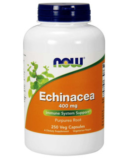 NOW Echinacea (Třapatka), 400 mg, 250 rostlinných kapslí
