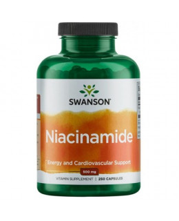 Swanson Nikotinamid Vitamín B3 (Niacinamide), 500 mg, 250 kapslí