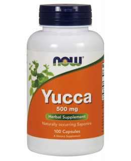 NOW Yucca, 500 mg, 100 kapslí