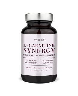 Nordbo L-Carnitine Synergy 90 kapslí