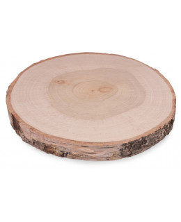 ČistéDřevo Dřevěná podložka z kmene břízy 24-28 cm