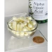 Swanson Alpha Lipoic Acid (Kyselina Alfa lipoová), 100 mg, 120 kapslí - EXPIRACE 12/2024