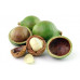 LifeLike Makadamové ořechy 250g - EXPIRACE 9/2023
