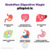 BrainMax Digestive Magic, Podpora trávení, 100 rostlinných kapslí - EXPIRACE 7/2025