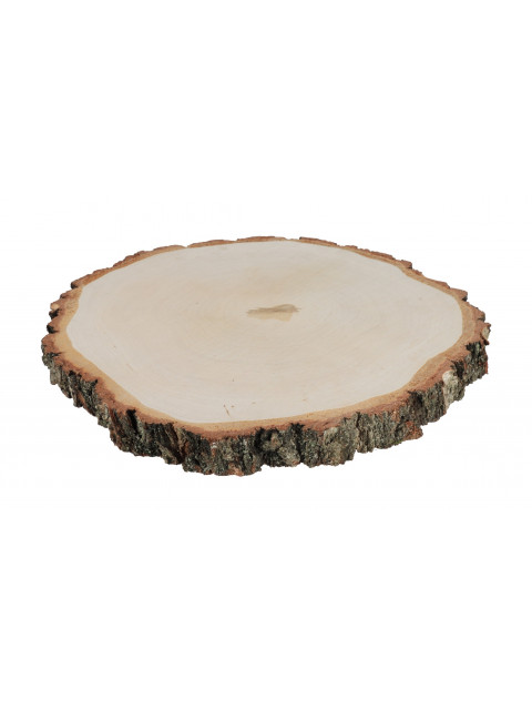 ČistéDřevo Dřevěná podložka z kmene břízy 33-38 cm