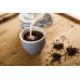 mamacoffee černý čaj Earl Grey Organic sypaný 70 g - Tradiční - EXPIRACE 3/23