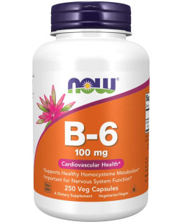 NOW Vitamin B6 Pyridoxin, 100mg, 250 kapslí