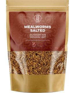 BrainMax Pure Mealworms - salted, 40 g