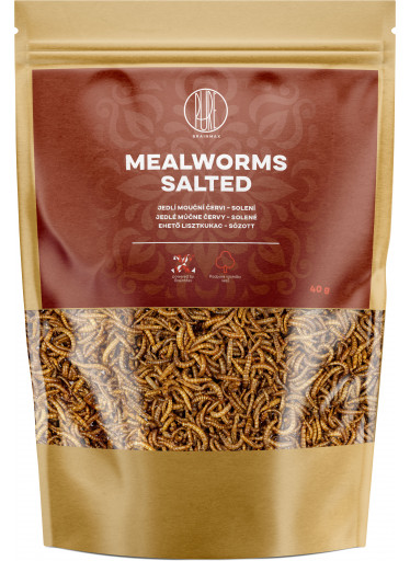 BrainMax Pure Mealworms - salted, 40 g